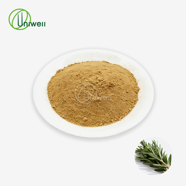 Pure Rosemary Extract Powder